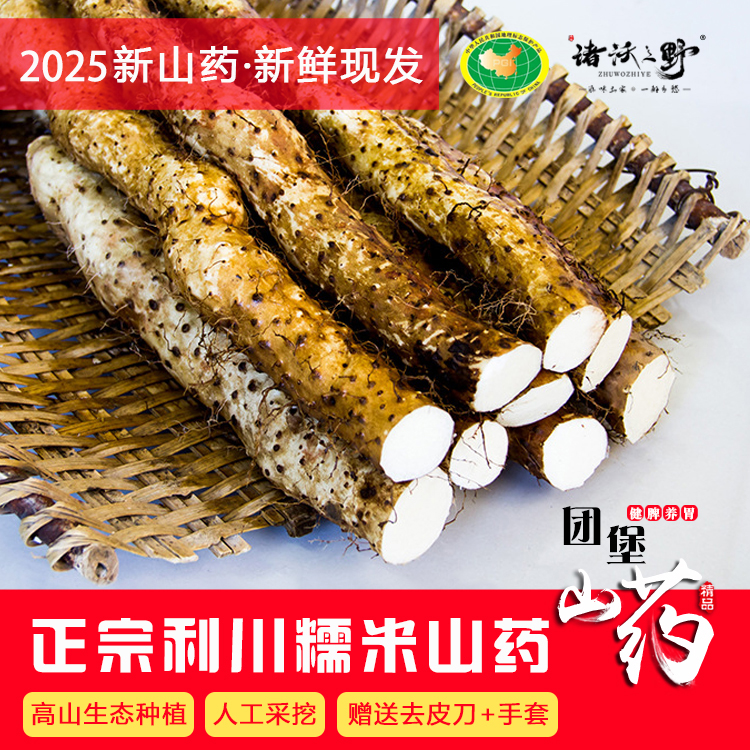 利川山药 团堡糯米面山药5斤精品大果恩施高山红皮野山药新鲜现挖