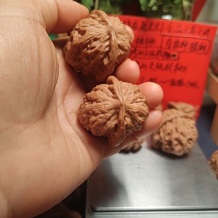 文玩核桃把件38的全品野狼