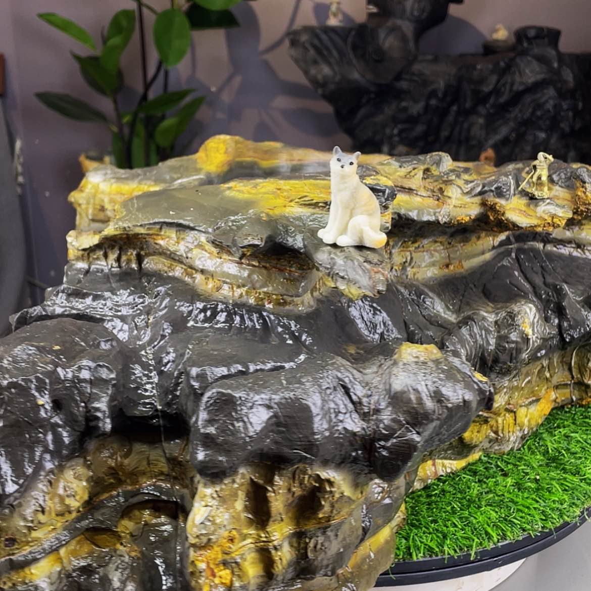 【闪购商品】贵***师