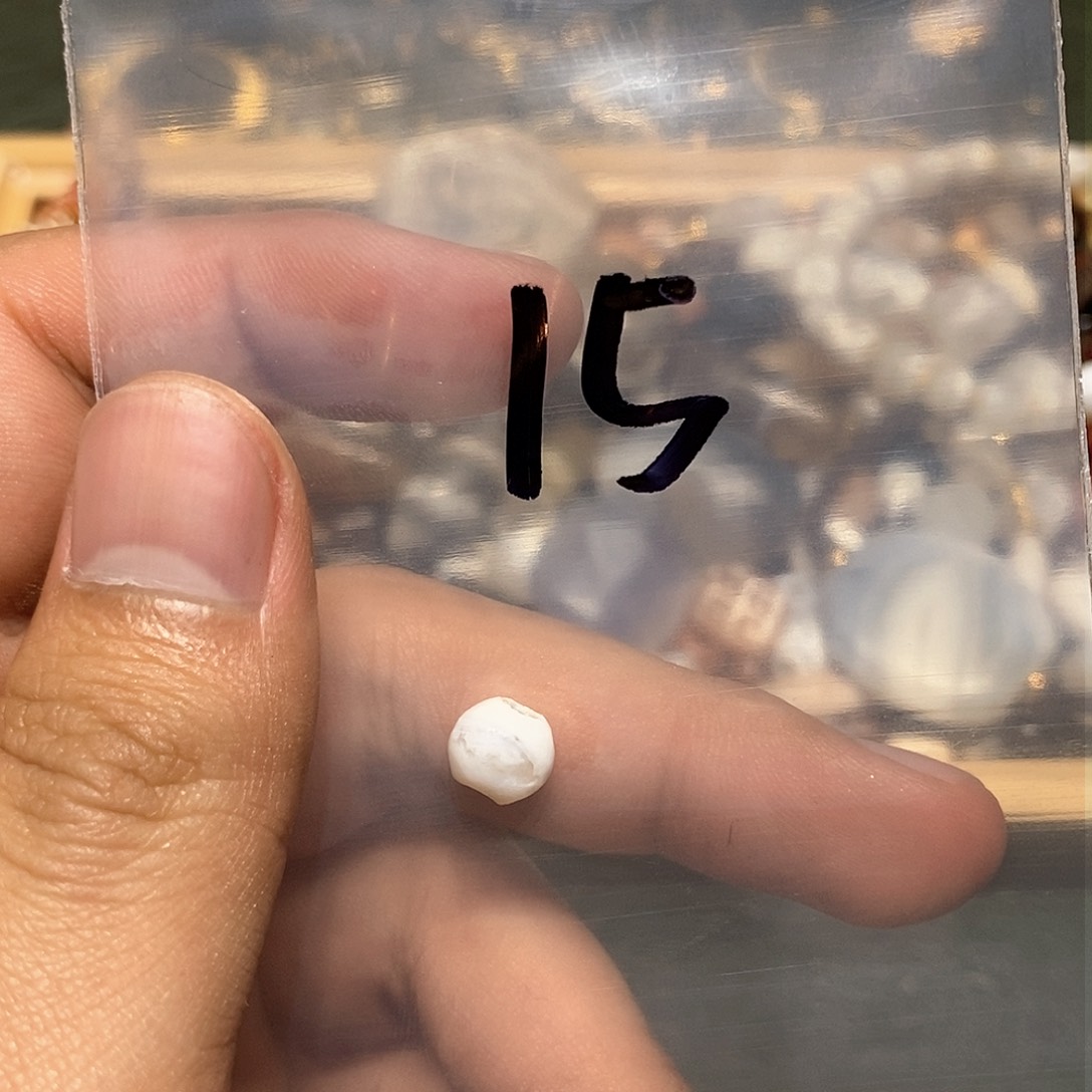 库克吊坠666666666666666