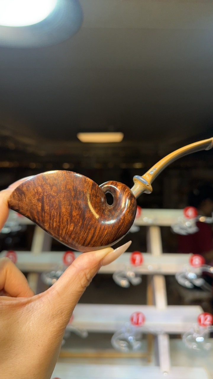 石楠木烟斗———鹦鹉螺