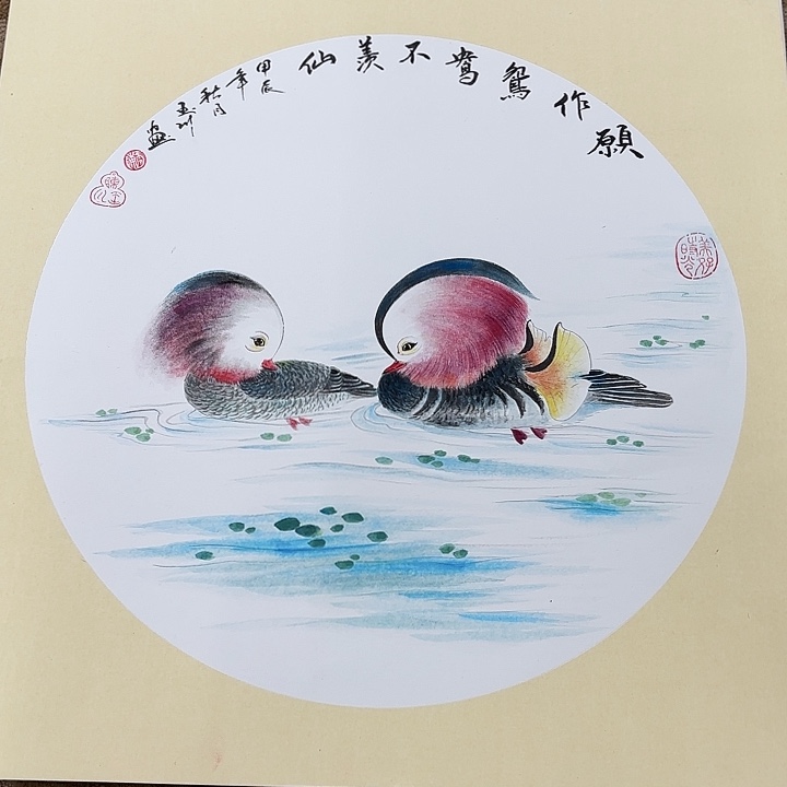 国画花鸟的翅膀和翅膀都50.50