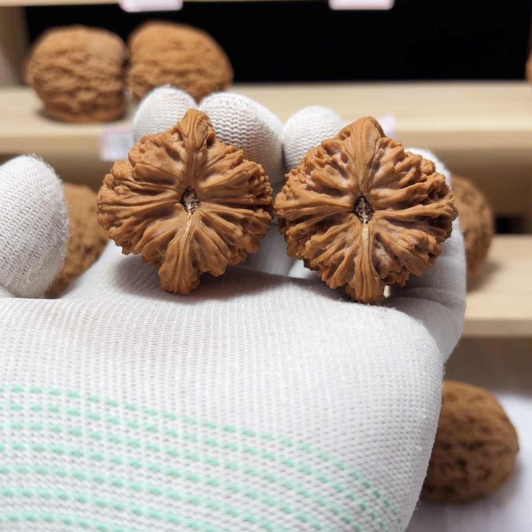 文玩核桃把件l****r涿鹿南将有黄