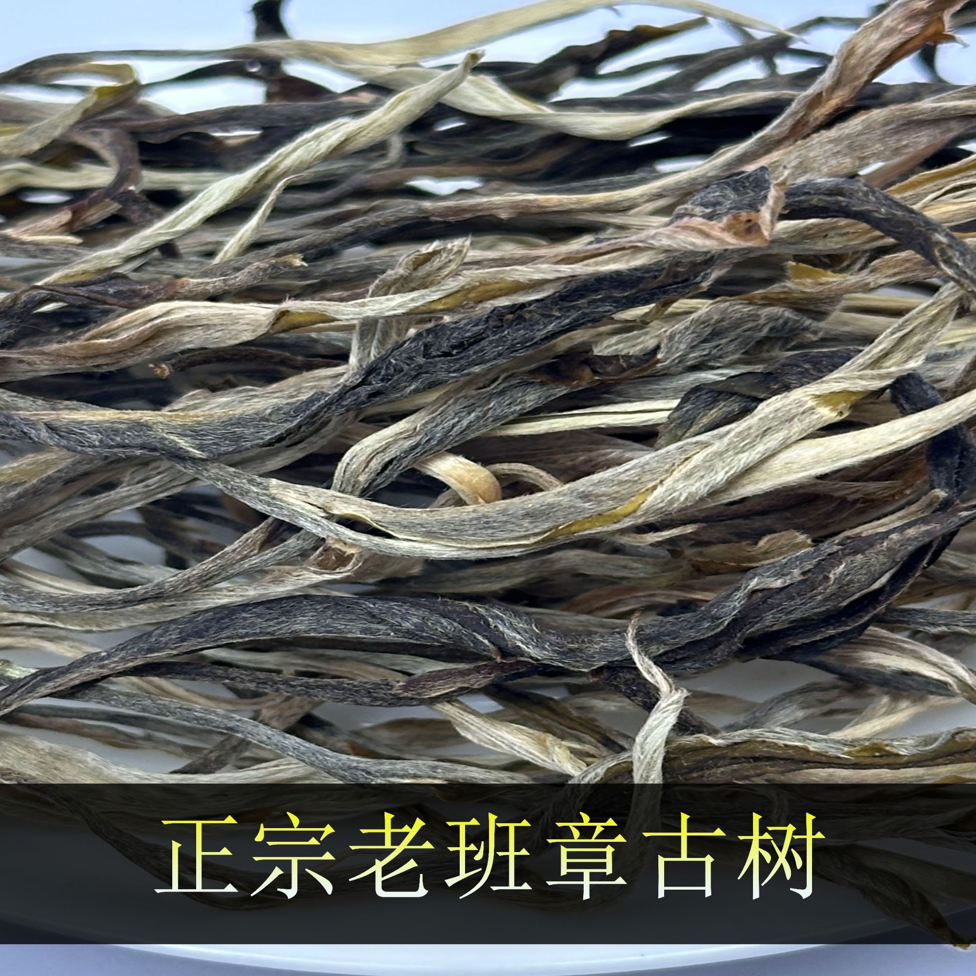 老班章古树生茶 试喝装