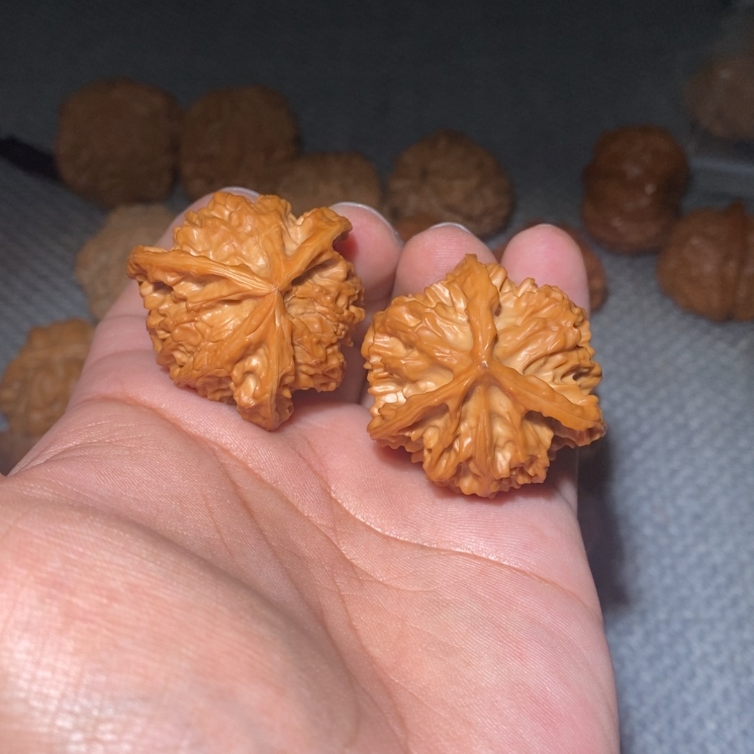 瓜***呱盘山三棱。           
