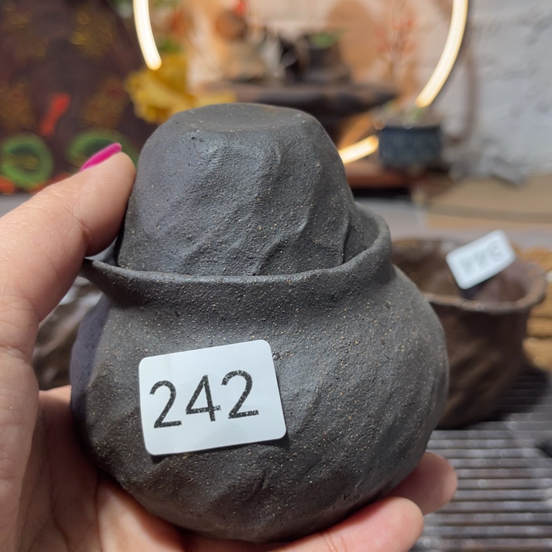 木村信弘柴烧保平