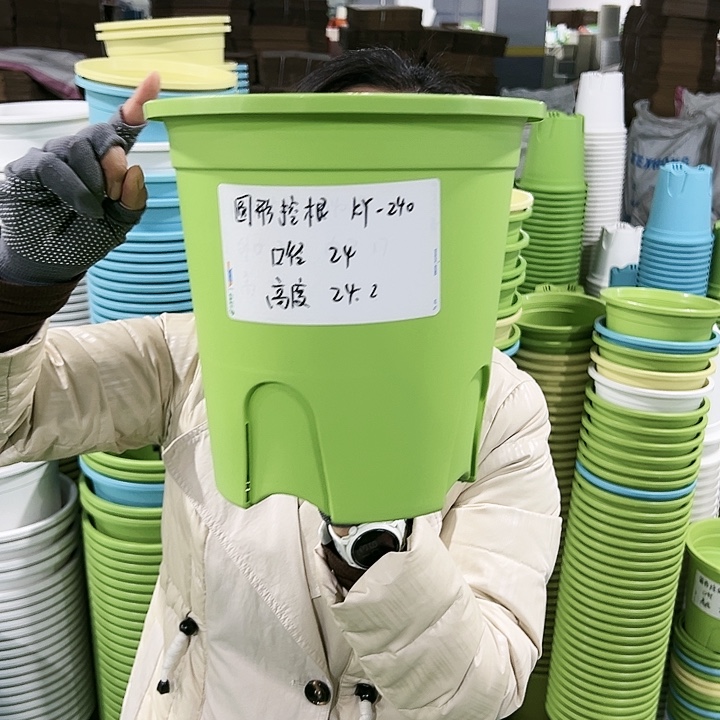 正品圆控口24高24果绿无托8只