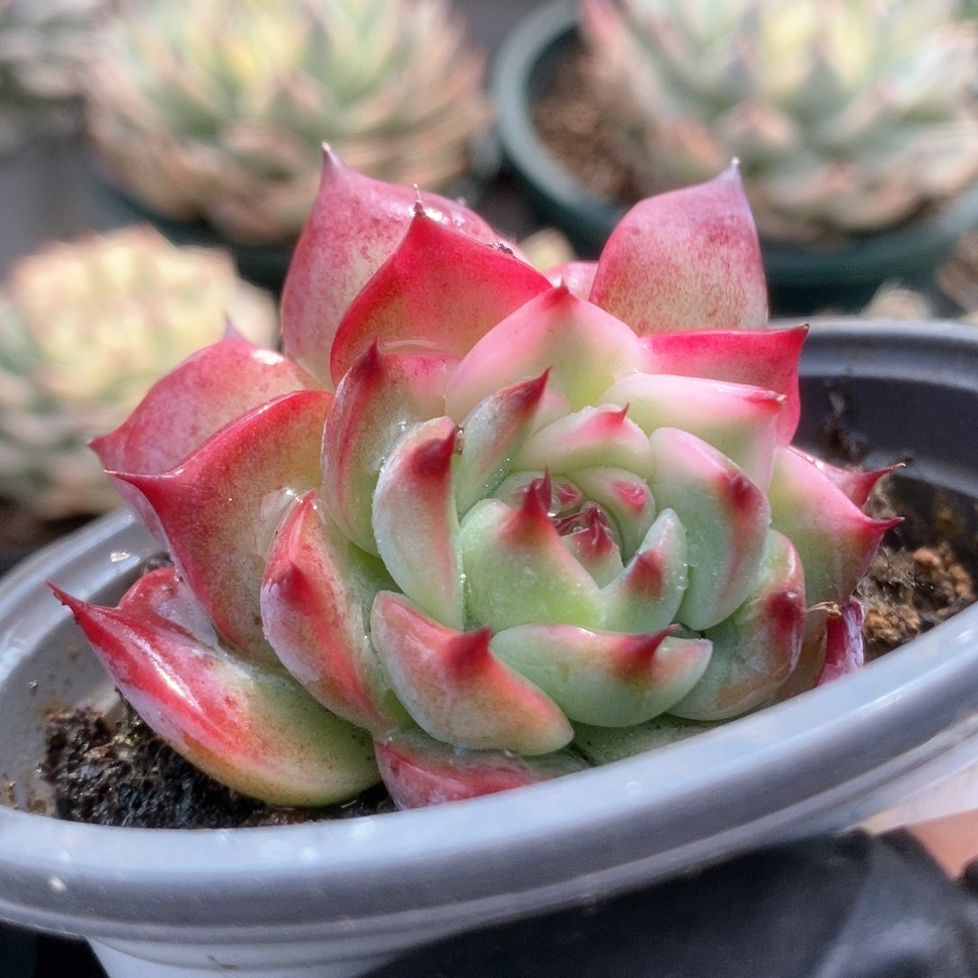 104锦锦锦锦锦锦锦锦