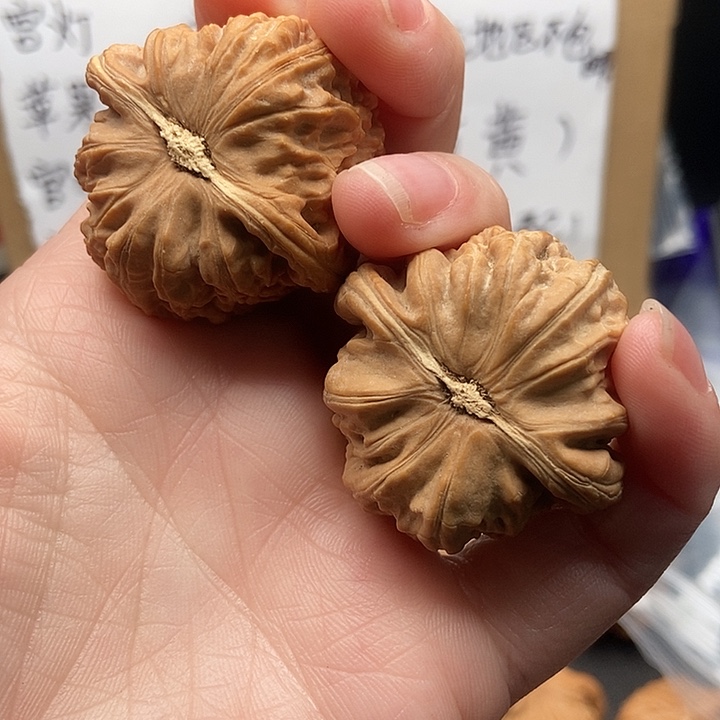 清***6大大大大大大狮子有黄