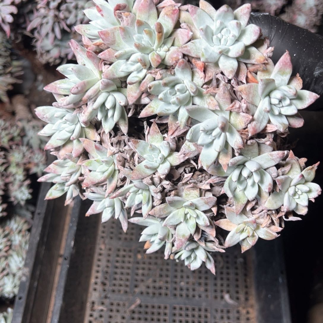 6341哈哈哈哈哈哈哈哈哈