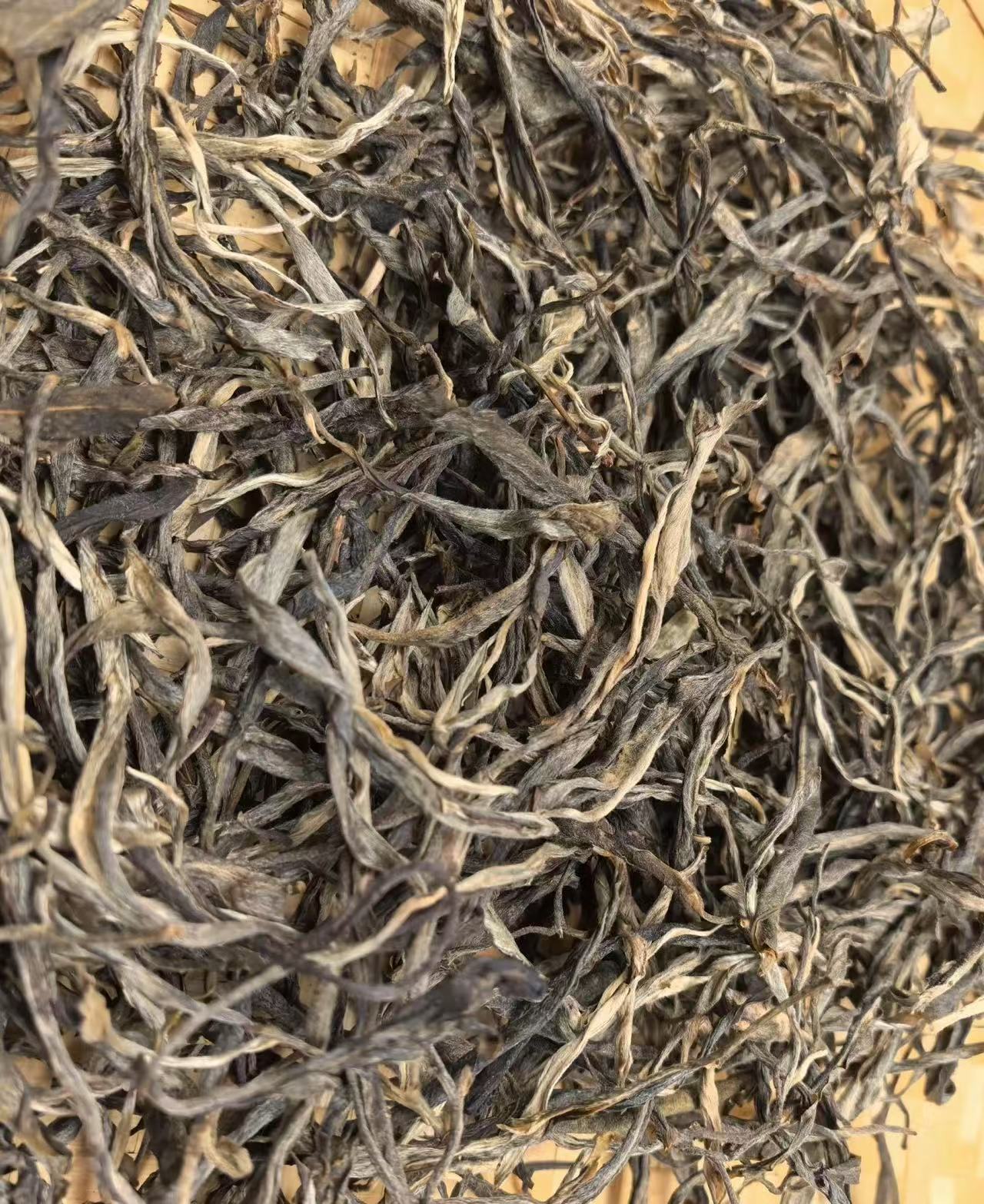 2025年骠国皇家茶园700年古树单株（生）（MD0169）--七七