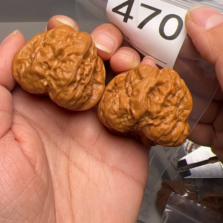 核桃42边44肚470号蛙