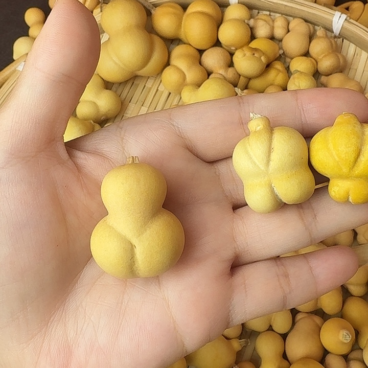 慕***子葫芦山公园和新昌的森林