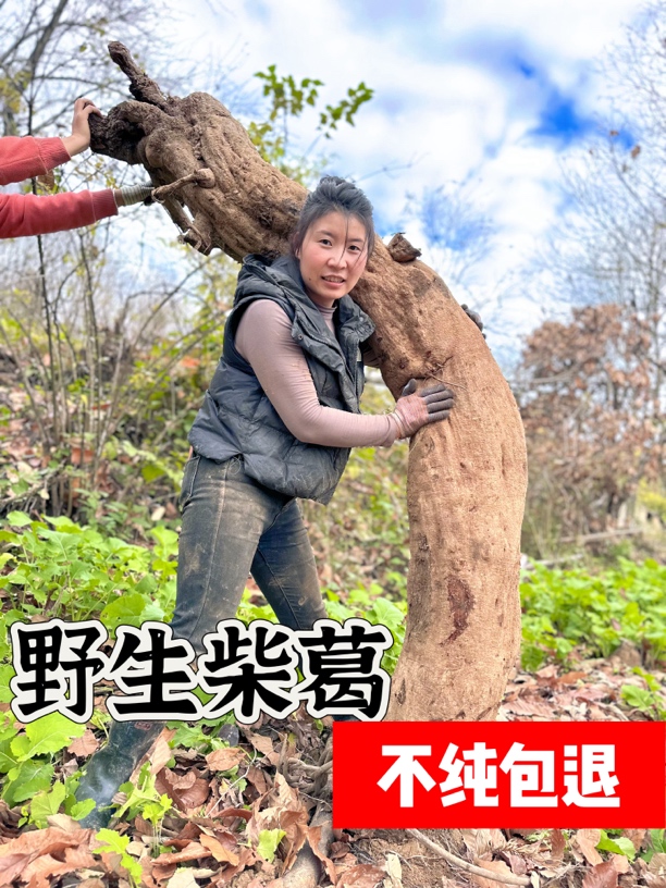 【野生葛根粉】太阳姐姐传统工艺纯手工深山老柴葛根粉