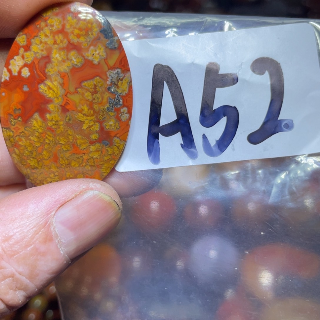 玛瑙/玉髓颈饰未镶嵌陈*帆