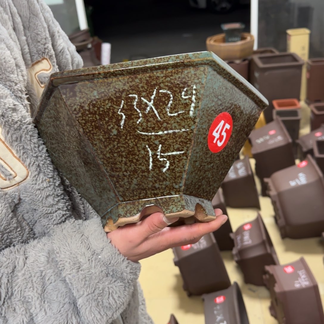 紫砂花盆呜呜呜呜