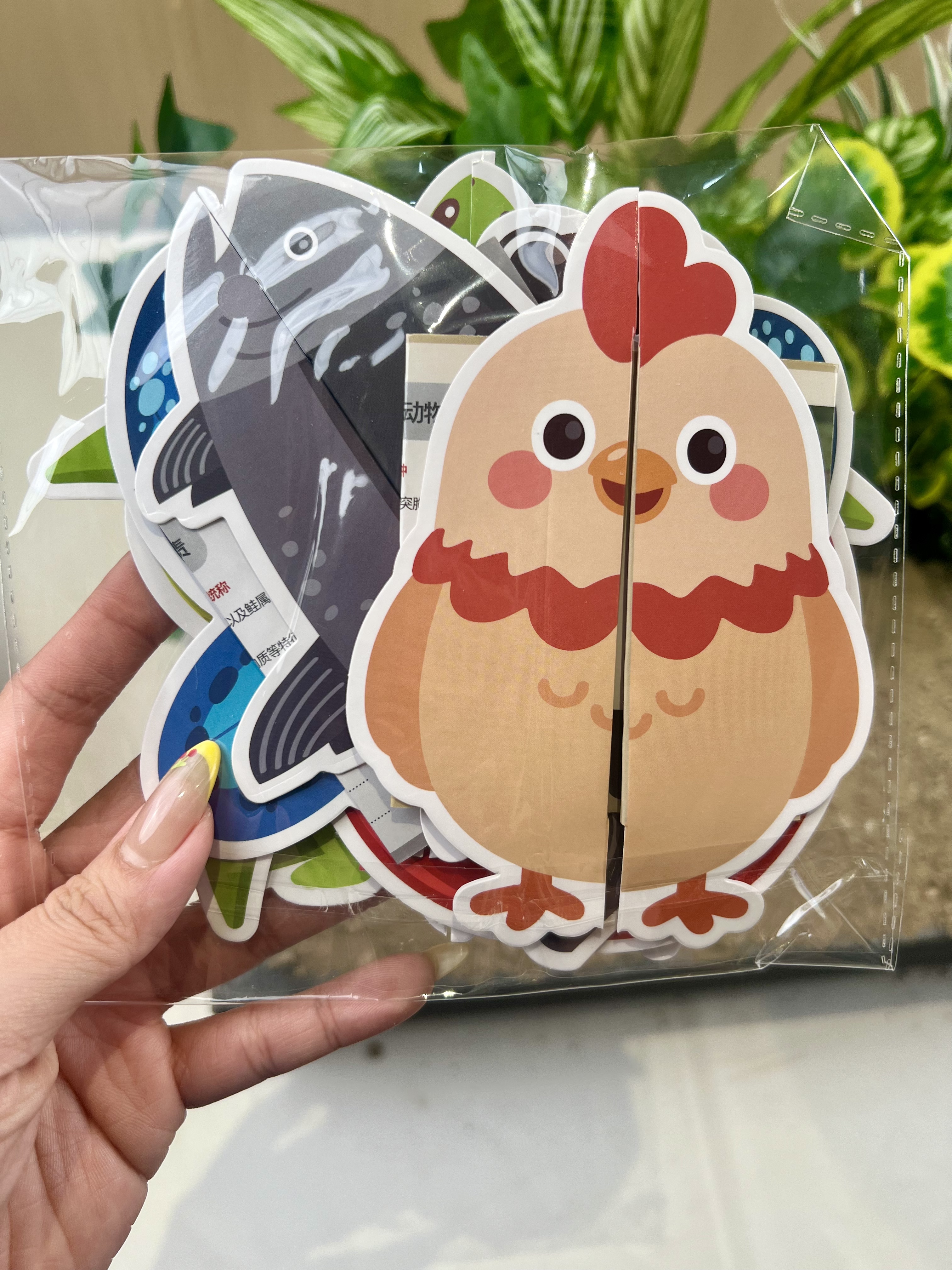 新品动物成长周期身份卡