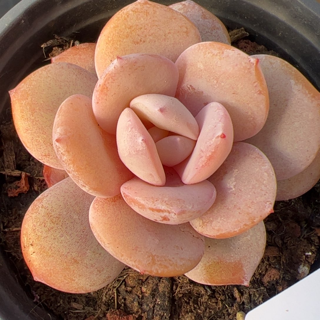 608 满38包邮一物一拍