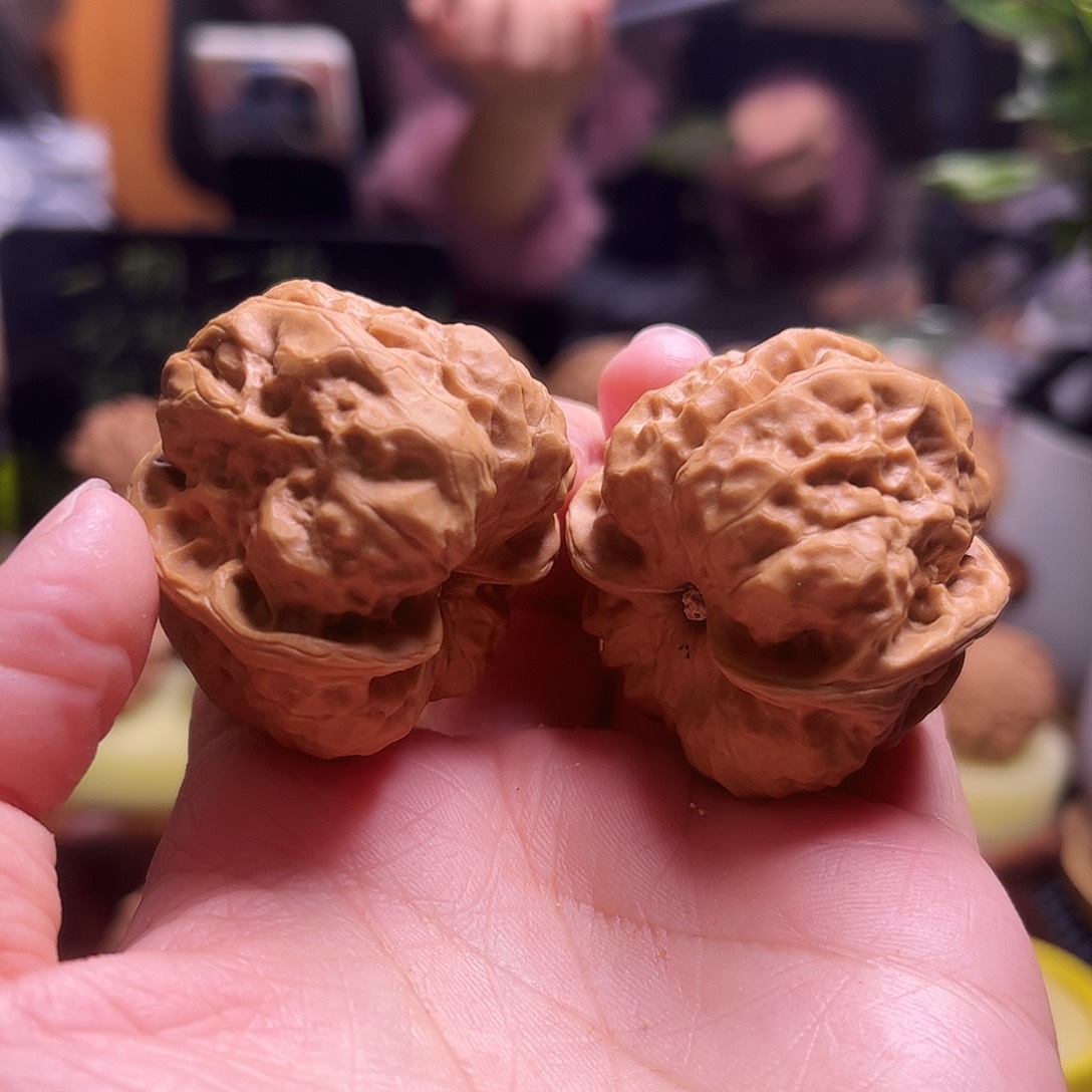 文玩核桃把件39尺蛤蟆60