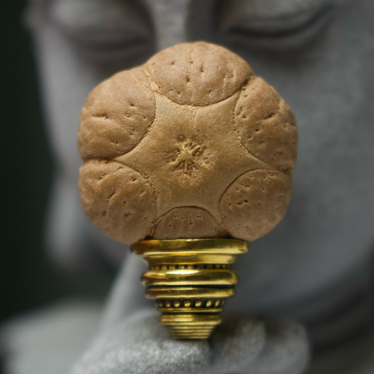 禅意·收藏级六星｜22.8✖️16.2mm，超正肌肉梅花六星三通，送法王金塔