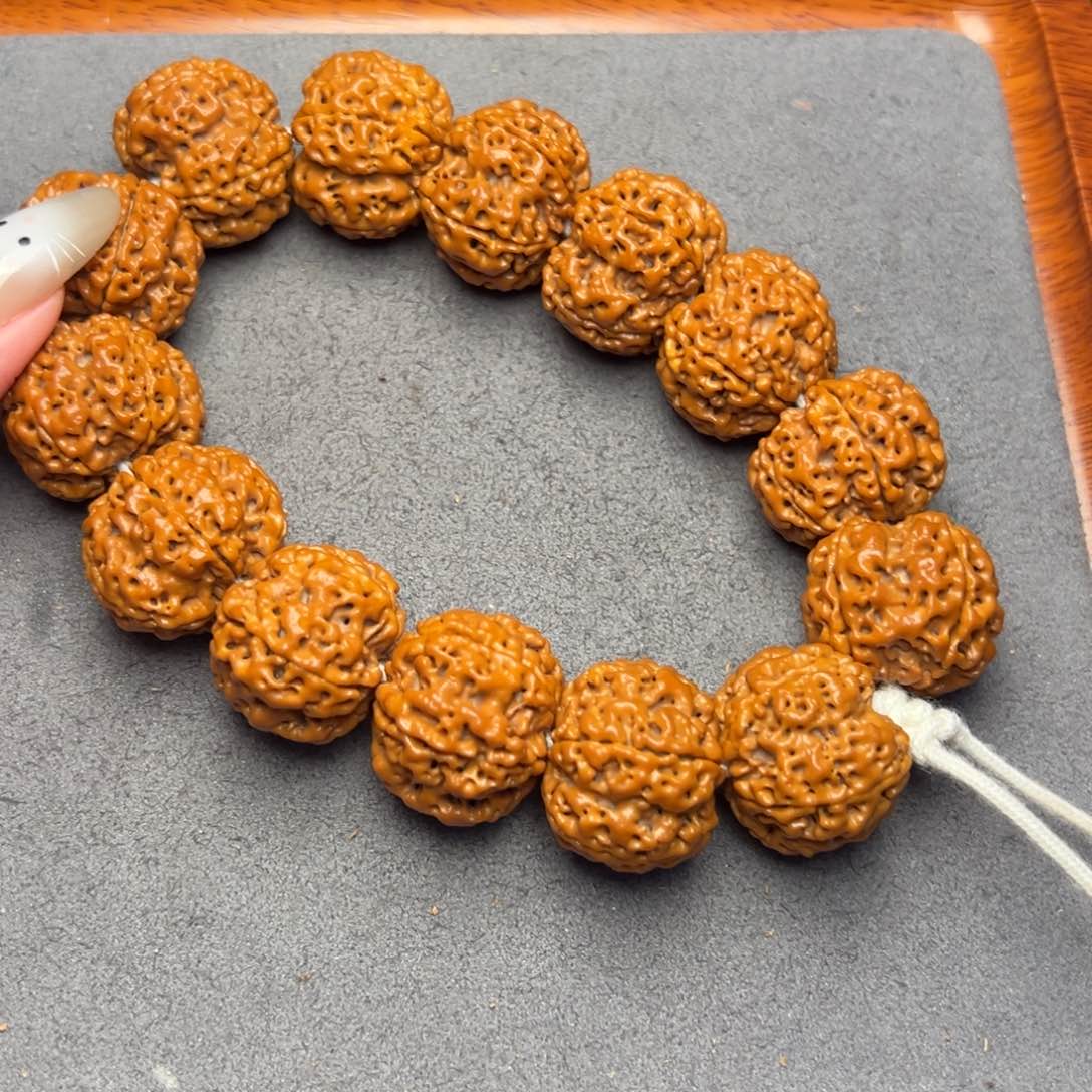 菩提9号尼泊尔大金刚24原生态梅花
