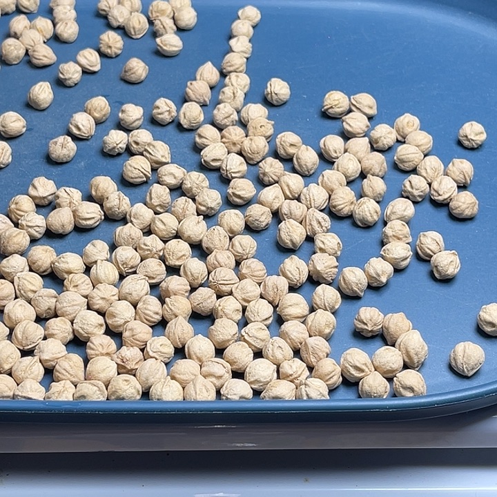 忘***说柏香籽/百香籽吊坠100克HT009