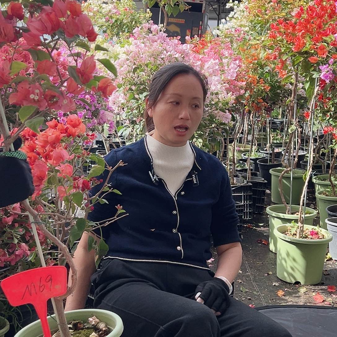 用***0大部分花苞少量开放M69不甜