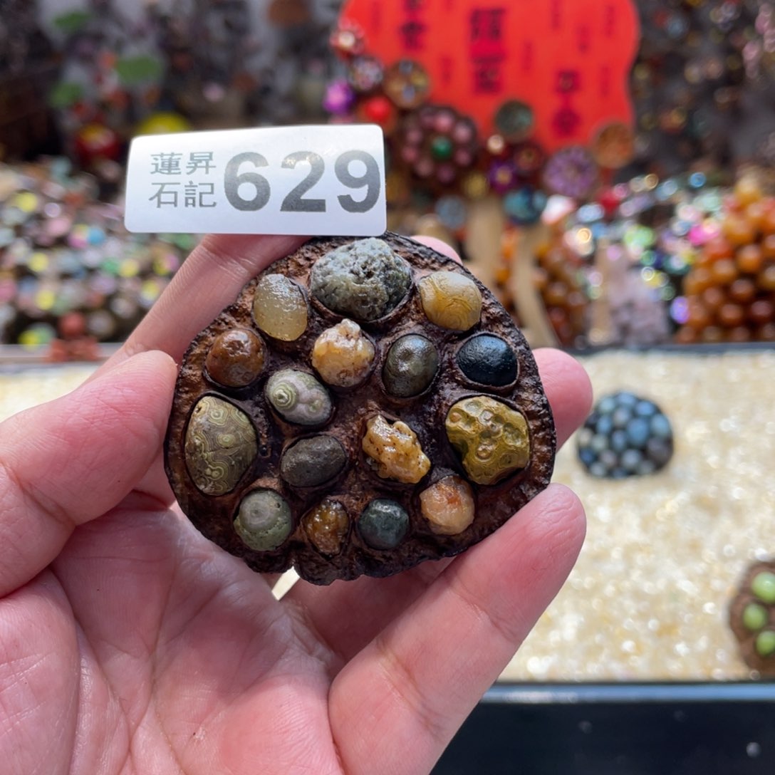 核桃木/黑胡桃（胡桃木）629