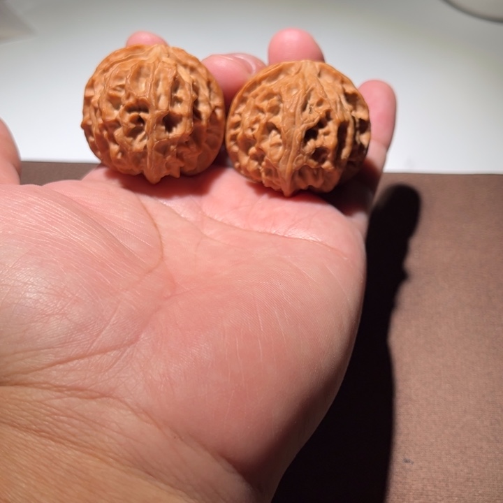 今***.精品苹果园41尺寸