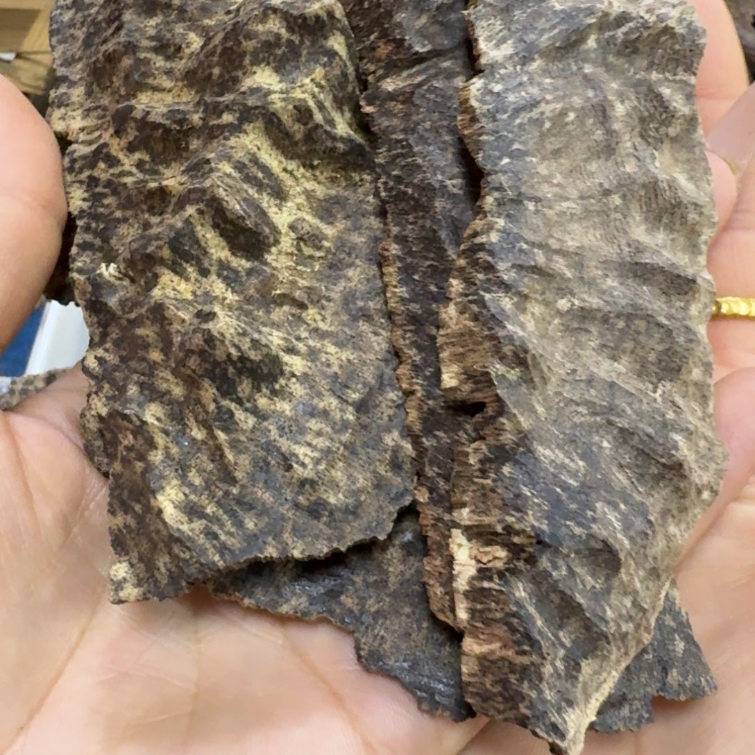 余***晖沉香沉香碎屑海南沉香厚肉包头57克