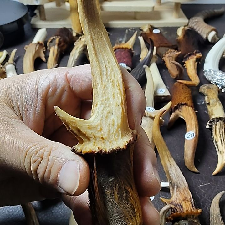 鹿缘坊直播间选货