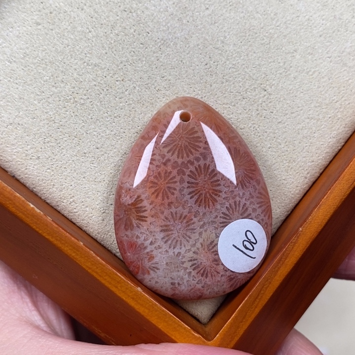 硅化珊瑚（珊瑚玉）手镯未镶嵌