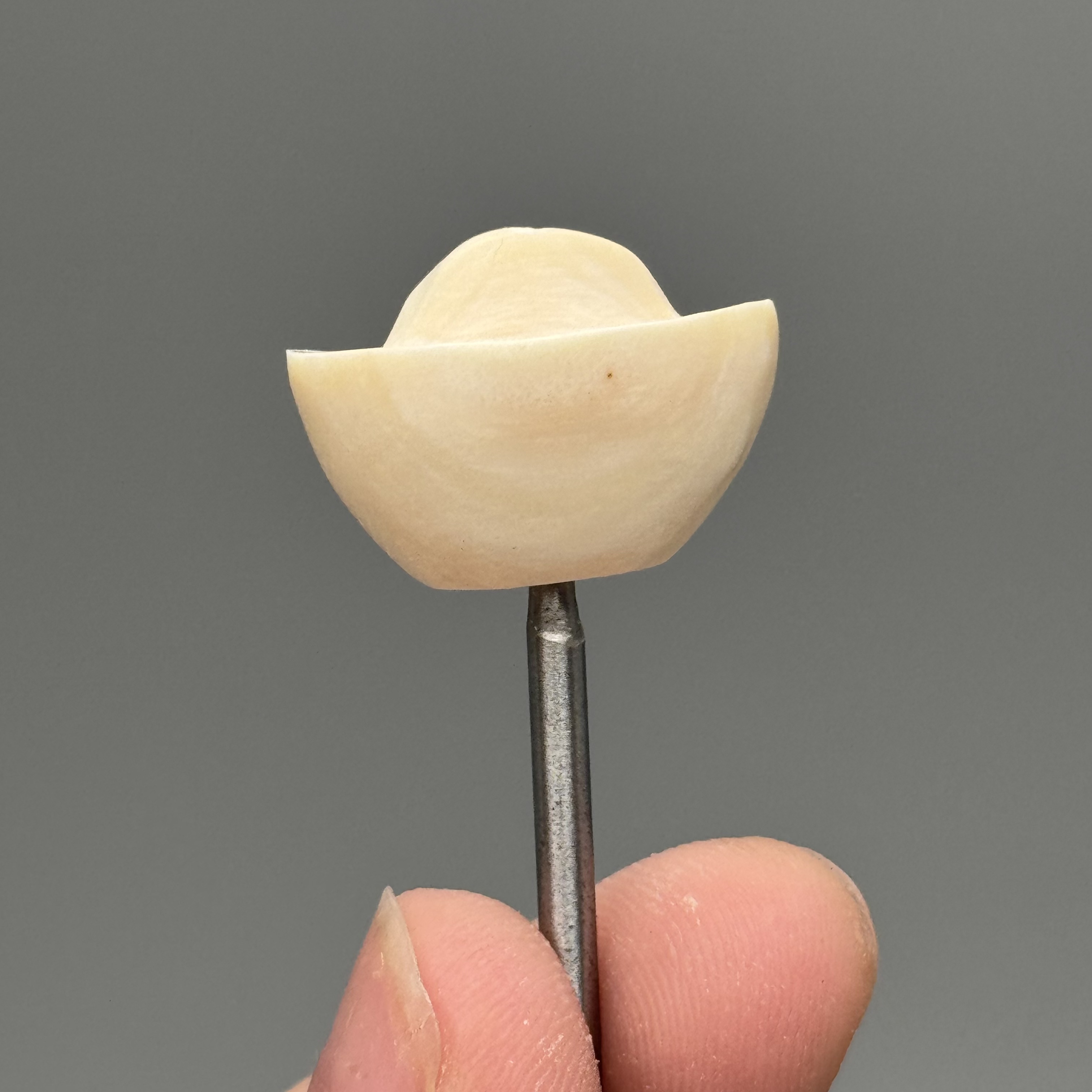 DEZHI/德志有裂14*19*11mm元宝挂件有裂保真猛犸牙Y656天地孔绑绳