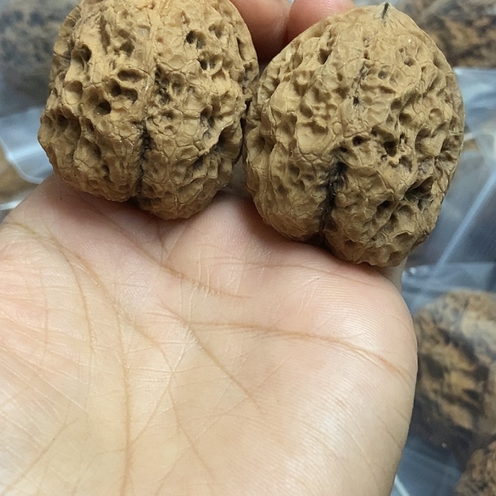 文玩核桃把件云南铁核桃基地7
