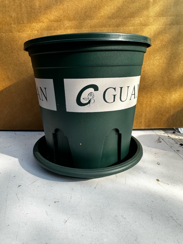 养花专用盆240（内径21厘米）