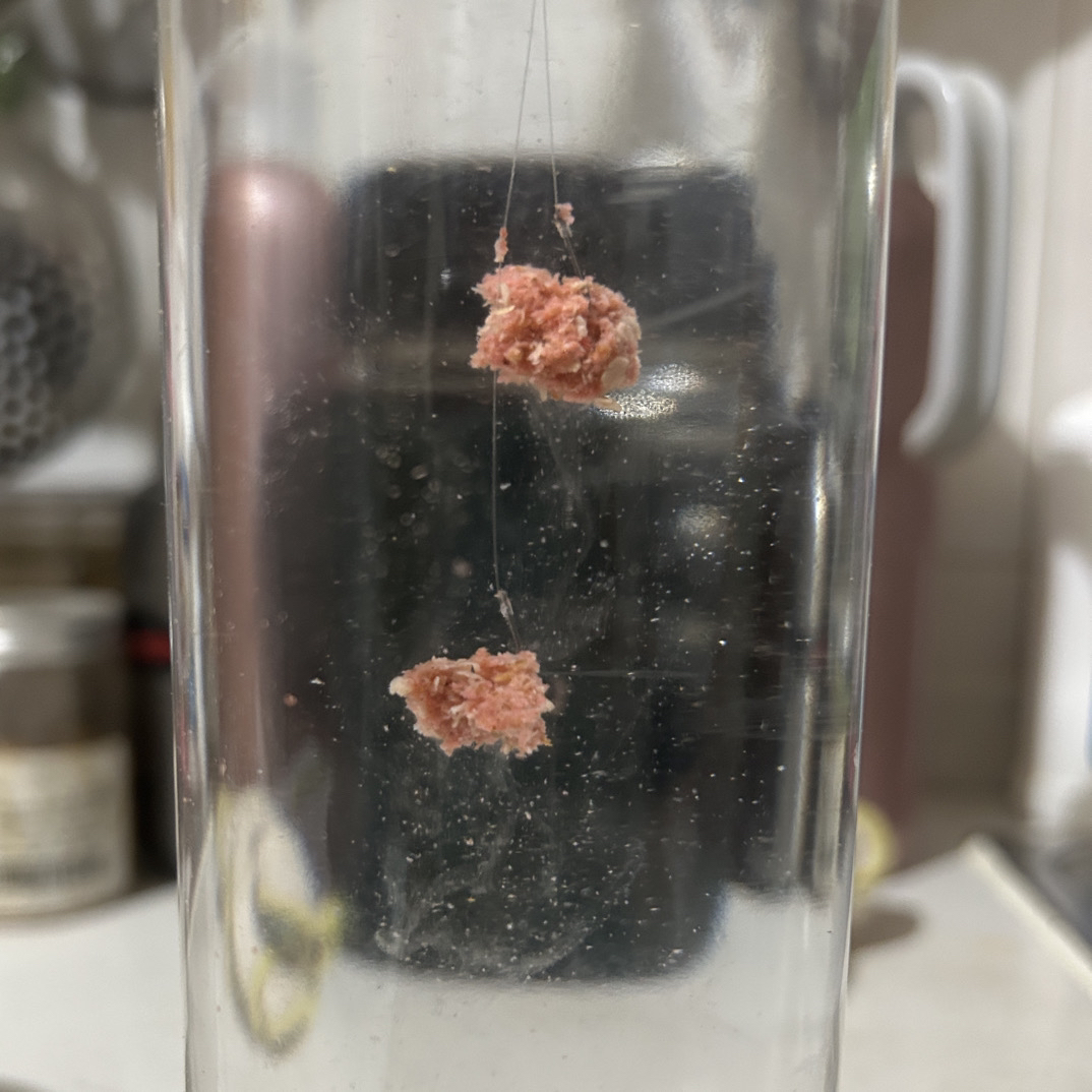 低温狂拔秋冬野钓黑坑手工秘制饵料主钓鲫鲤草鳊专攻