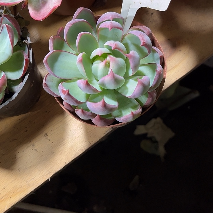 云***6000000000000000320