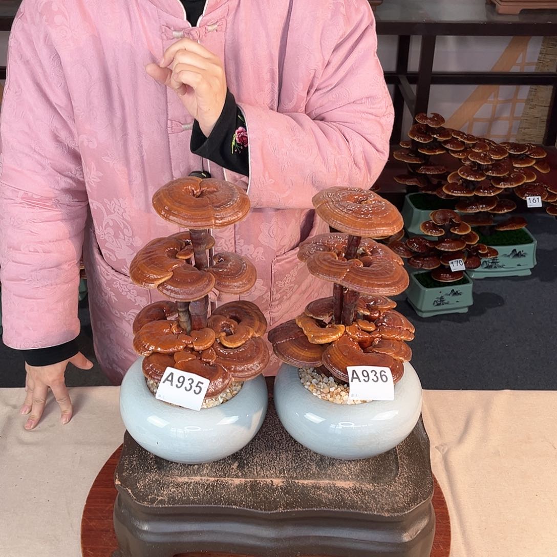 万事如意的88888888