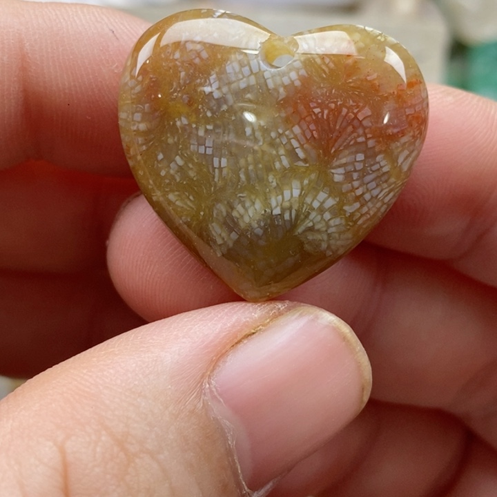 硅化珊瑚（珊瑚玉）未镶嵌颈饰