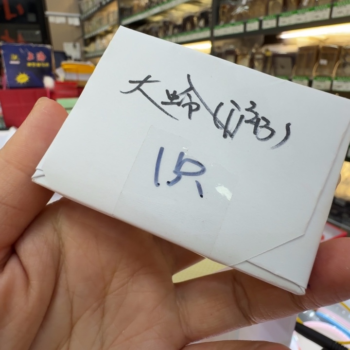 蟋蟀漂亮b一只合适