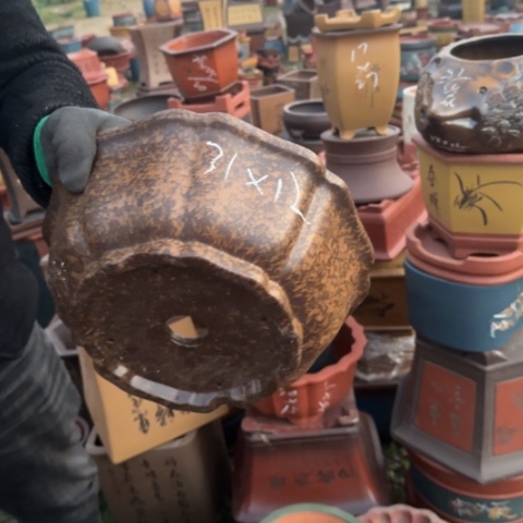 红陶紫砂花盆盆景盆栽