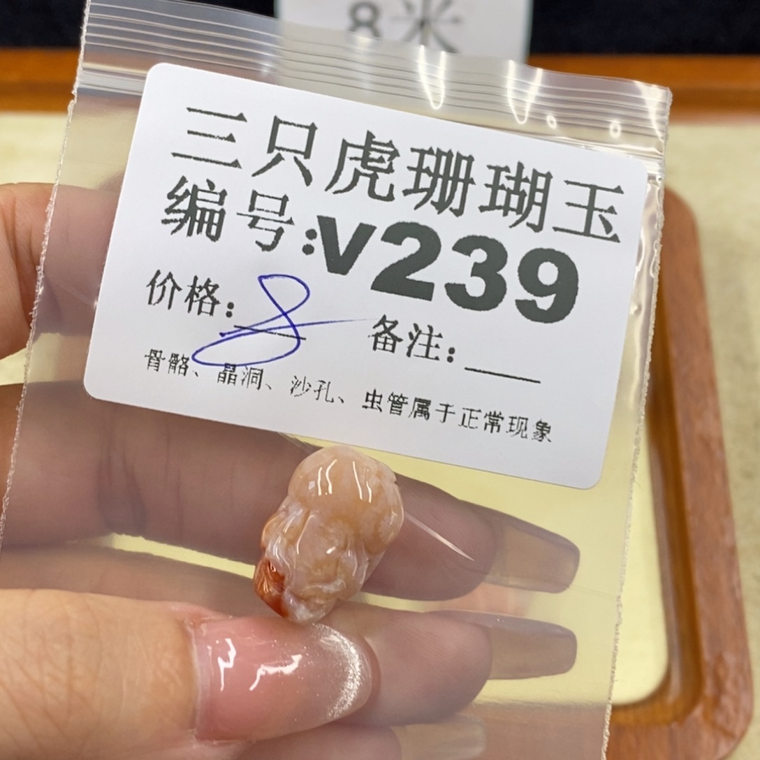 硅化珊瑚（珊瑚玉）未镶嵌1鱼*