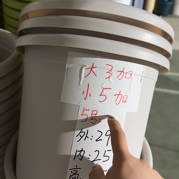 四季5号灰白无托10个特价微瑕