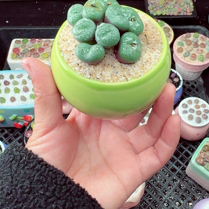 517零下地区记得拍保温箱满18包邮