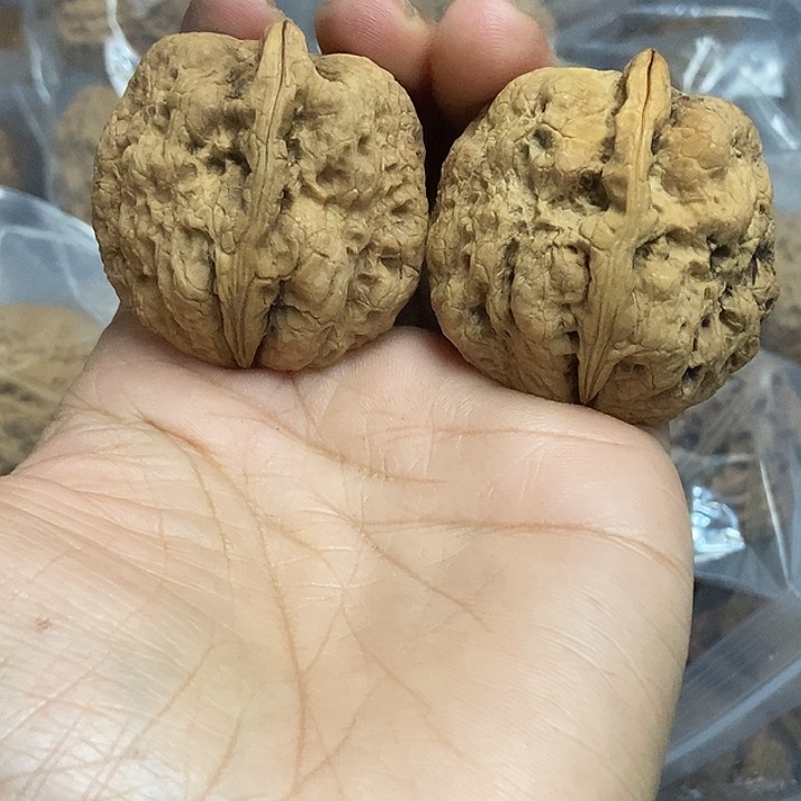 文玩核桃把件云南铁核桃基地78