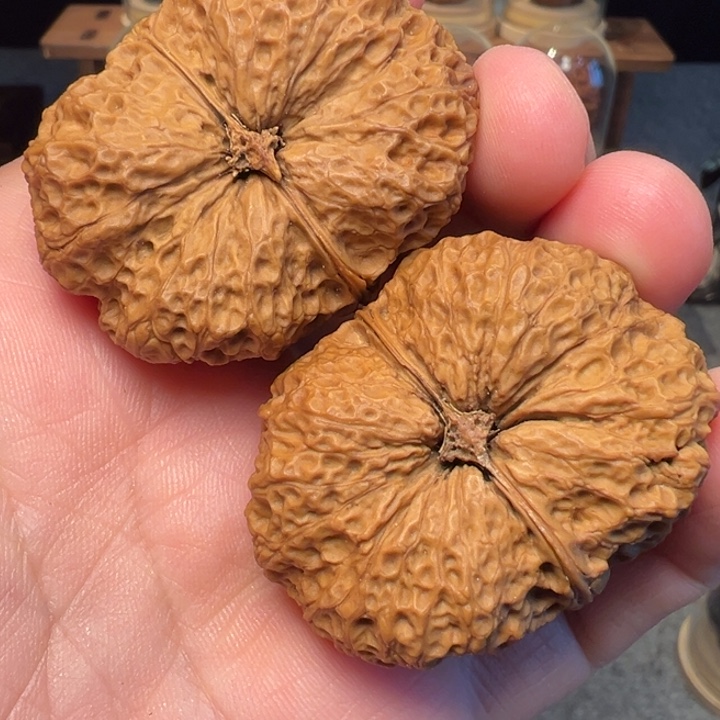 文玩核桃把件梅花官座44mm