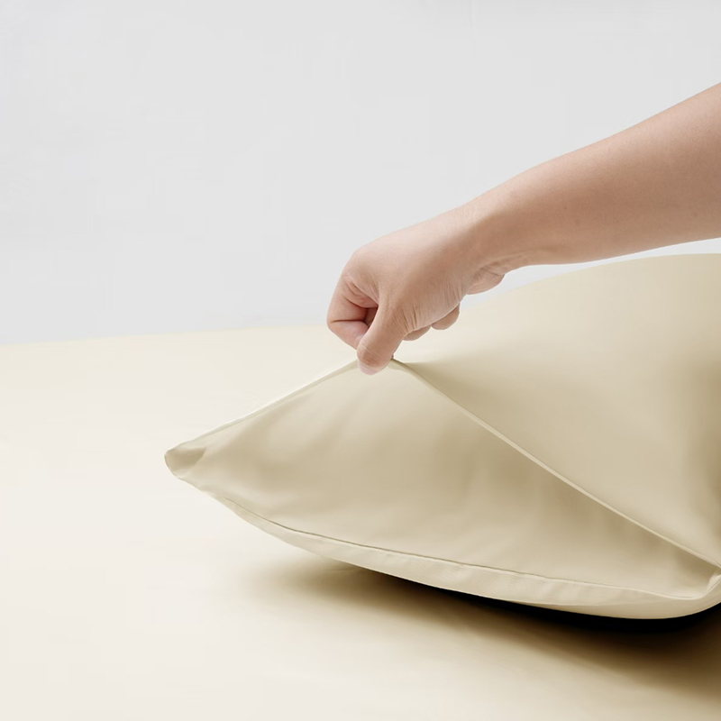 丝滑高级感简约轻奢枕套48x74cm一对【21261】