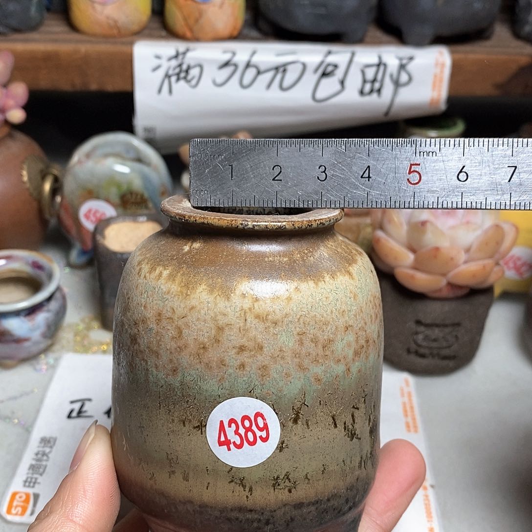 红陶拍5送一个小