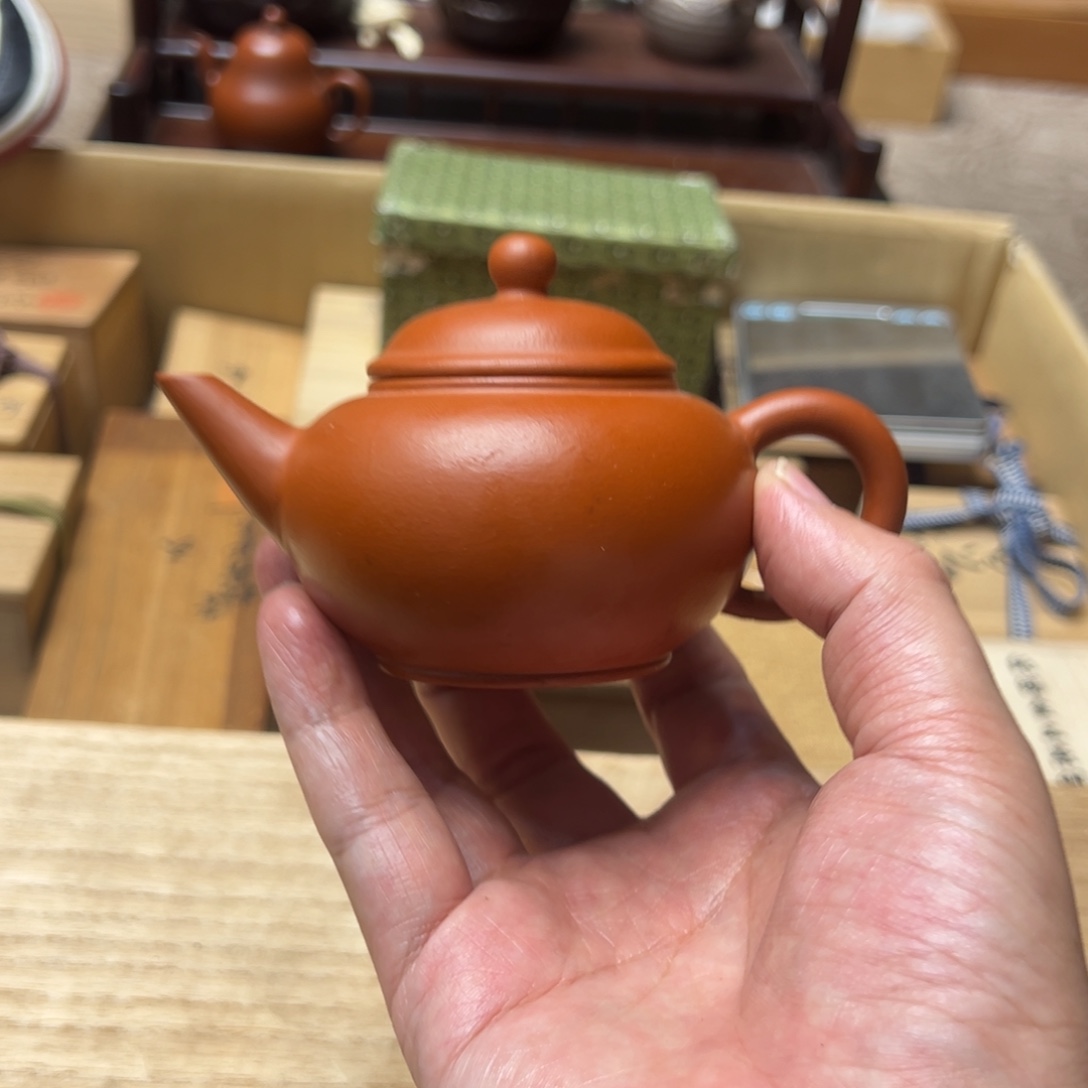 鱼***舌瓷片一定要看好下单