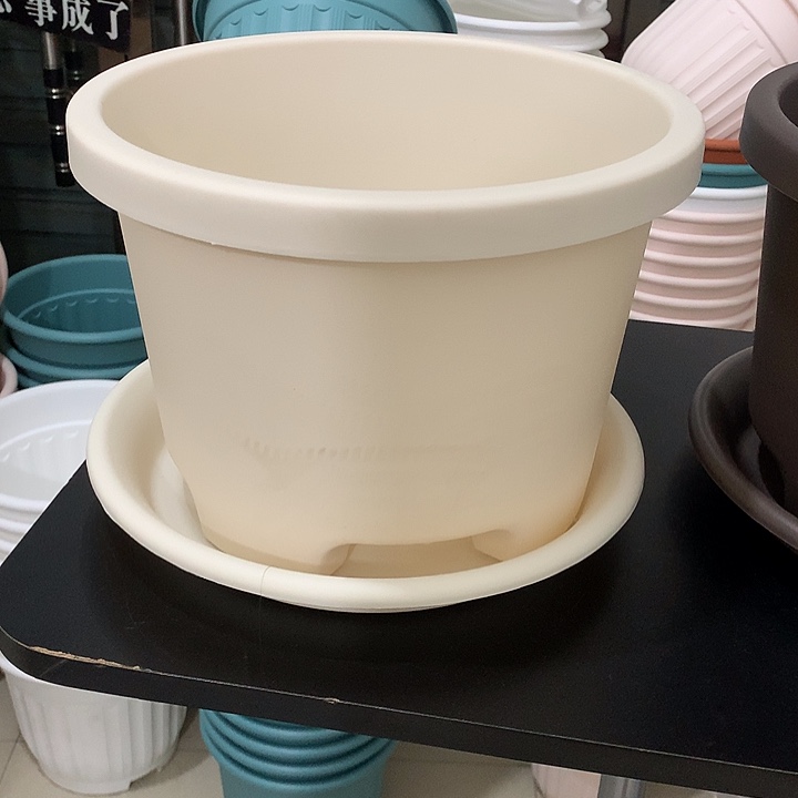 球根口26高19米白5个带托